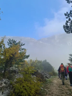 Hiking with Blue Life