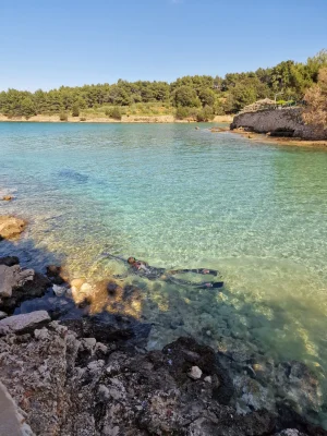 Spearfishing near the beach